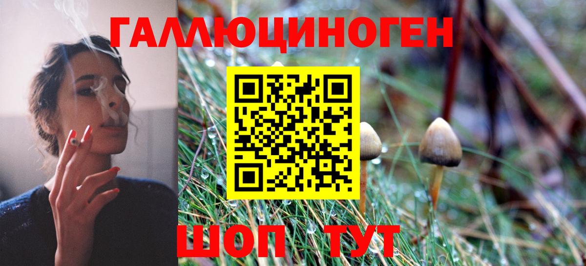 Нарткала  где найти наркотики  Вход с VPN  Псилоцибиновые грибы ЛСД 